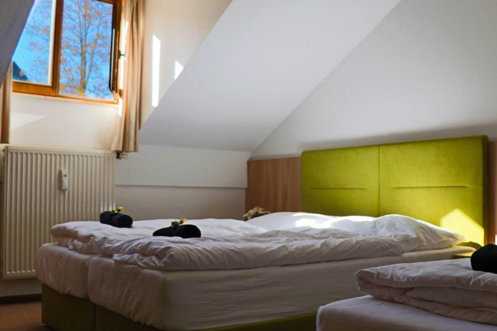 Fitapartman Mitterfirmiansreut Extérieur photo